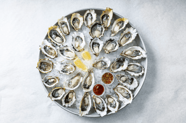 Oyster