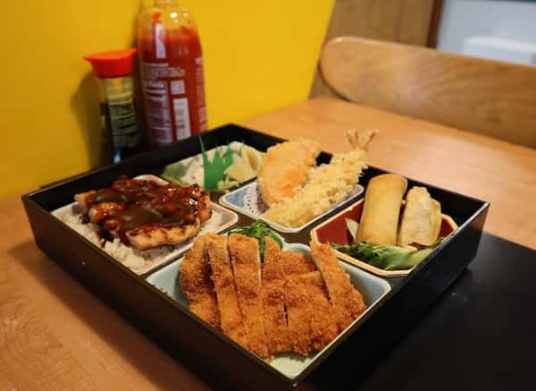 Japanese bento box with chicken teriyaki over rice, breaded cutlet, tempura shrimp, and spring rolls