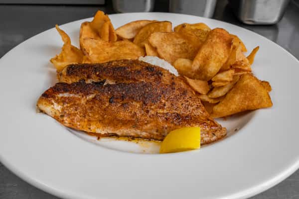 Red Snapper TG