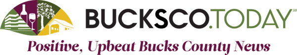 buckso logo