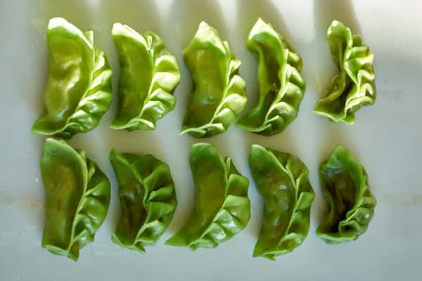 Vegetable Gyoza