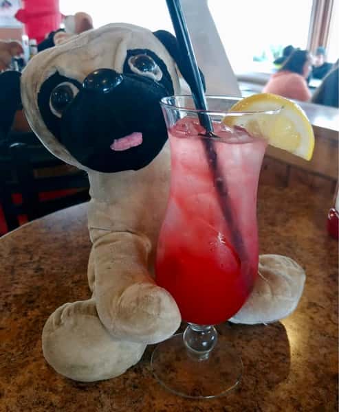 dog with cocktail