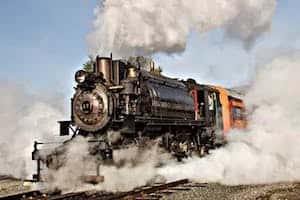 train