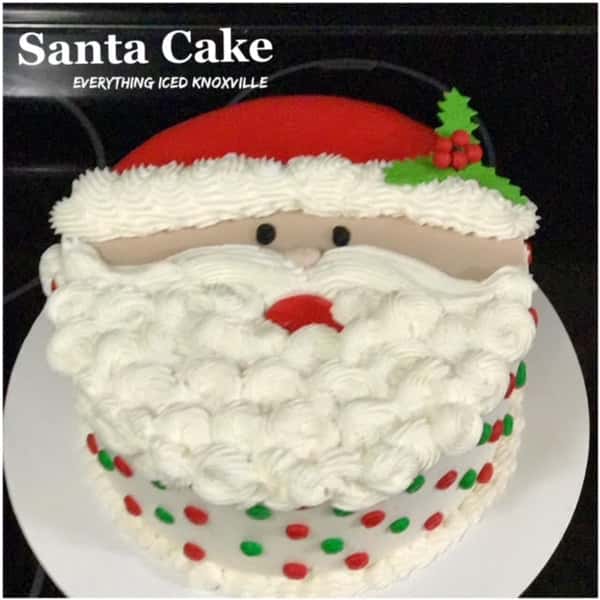 Santa Cake, 8"