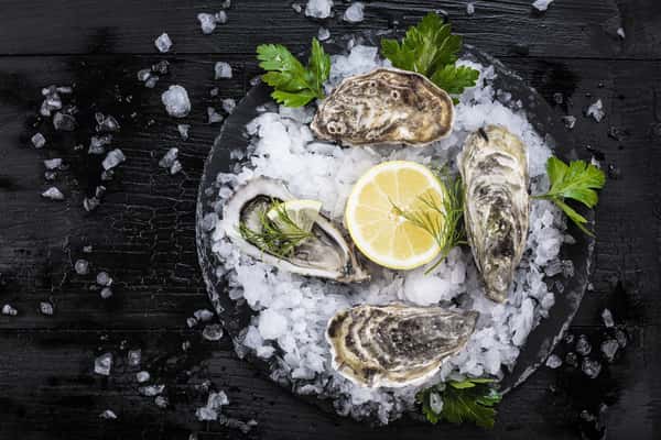 Oysters Raw