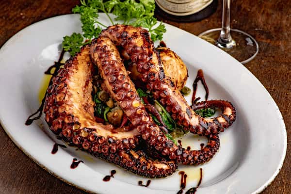 Grilled Octopus
