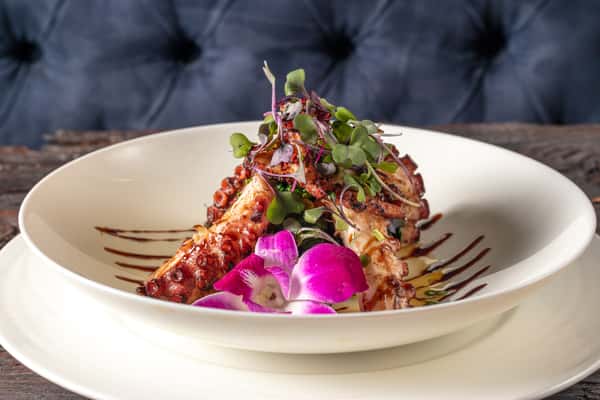 Grilled Octopus