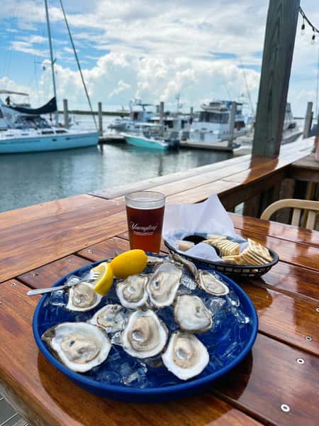 Oysters
