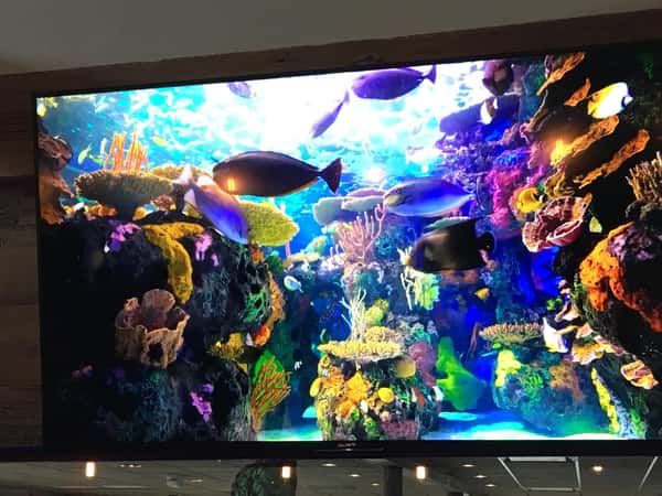 TV above bar with fish tank display