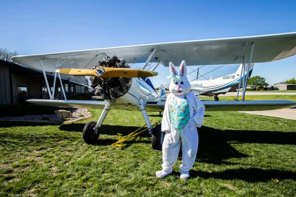 bunny and plane
