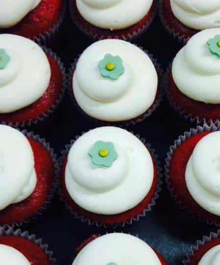 Cupcakes topped with white frosting and green sugar flowers