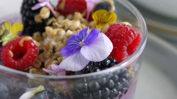 BLUEBERRY CHIA OATS