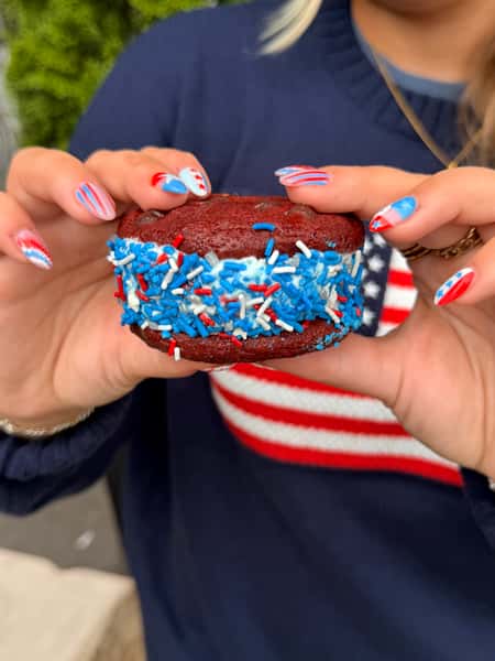 America's 250th Ice Cream Sandwhich