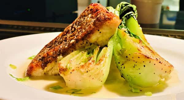 Halibut