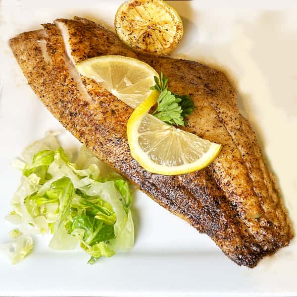Red Snapper