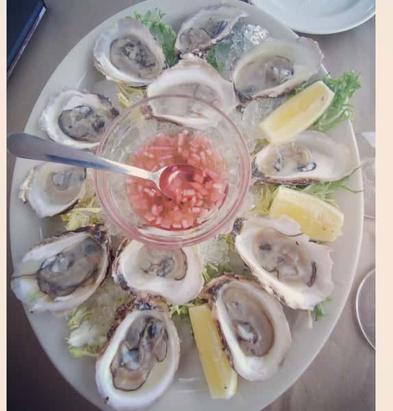 Oysters