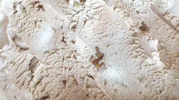 Specialty Pint: Snickerdoodle Cookie
