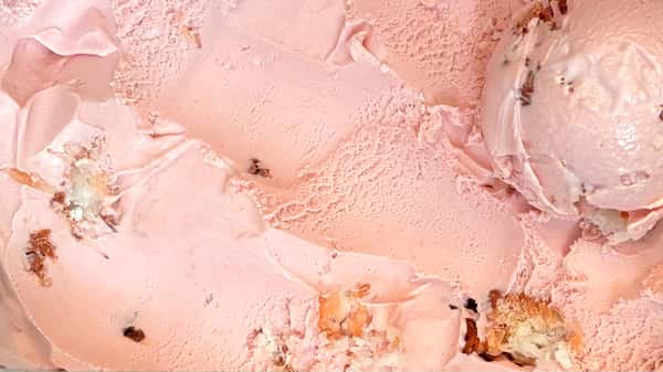Specialty Pint: Rhubarb Macaroon