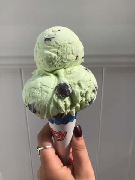 Mint Chocolate Chip