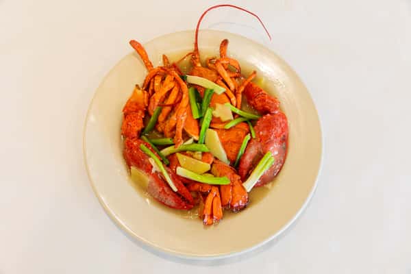 Maine Lobster
