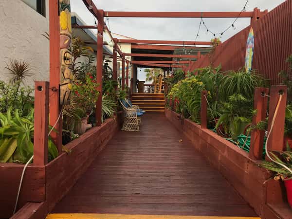 deck and plants