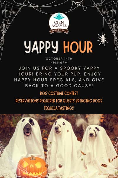Yappy Hour
