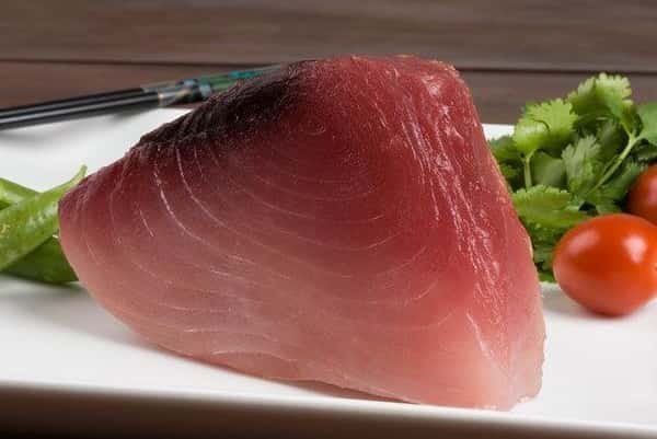 Bigeye Tuna