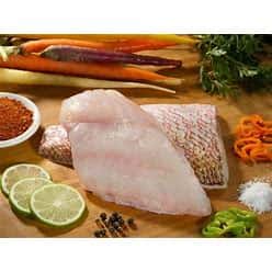 Gulf Redfish
