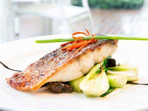 Australian Barramundi