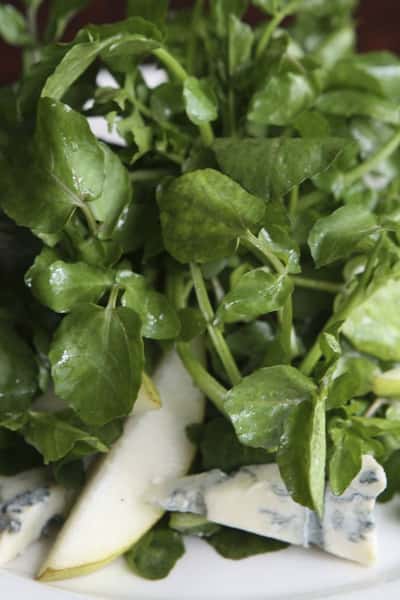 Gorgnzola Salad