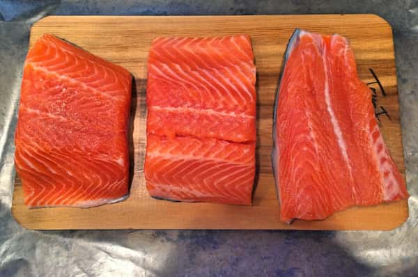 Loch Etive Ocean Trout