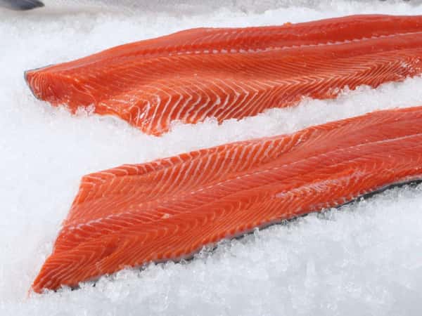 Arctic Char