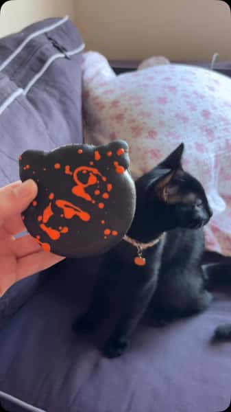 When your Halloween treat matches your Halloween sidekick.

Our Black Cat Ice Cream Sandwich is made with peanut butter ice cream and Reese’s Pieces, making it the perfect spooky-season treat to enjoy alongside your favorite black cat.

A little spooky, a little sweet, and full of JOY.