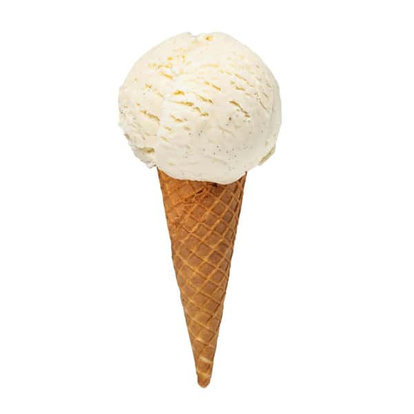 Vanilla Bean
