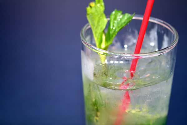 mojito with mint