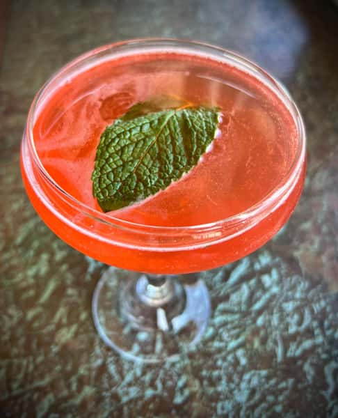 cocktail