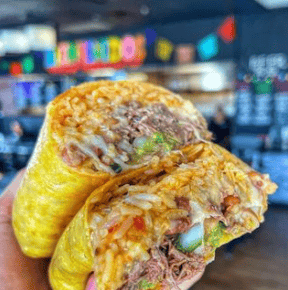 Birria Burrito