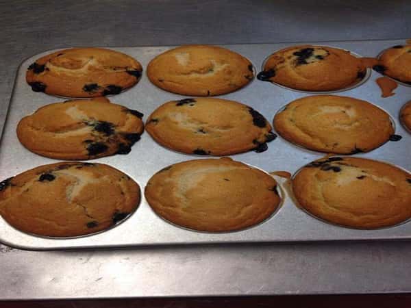 fresh baked cookies on a cooking tray