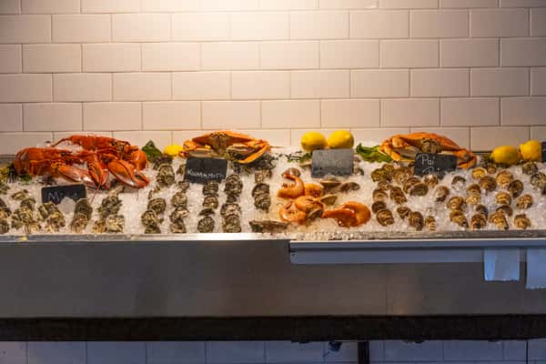 Oyster Display
