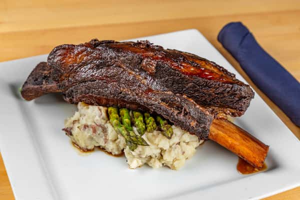 Dinosaur Rib
