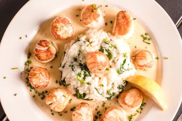 Pan Seared Scallops