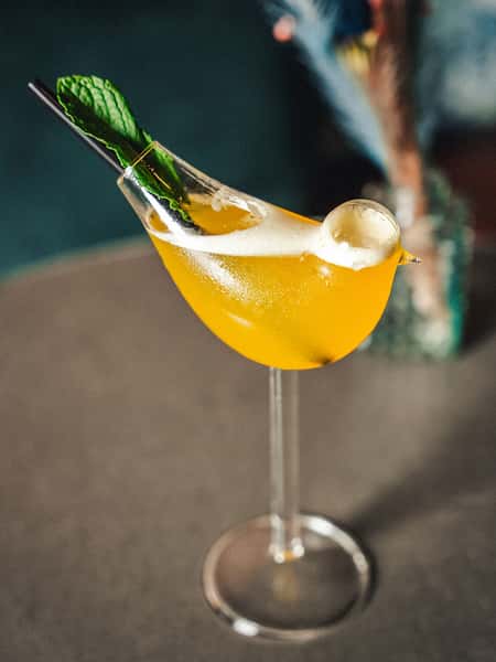 Bird of Paradise Cocktail at The Select