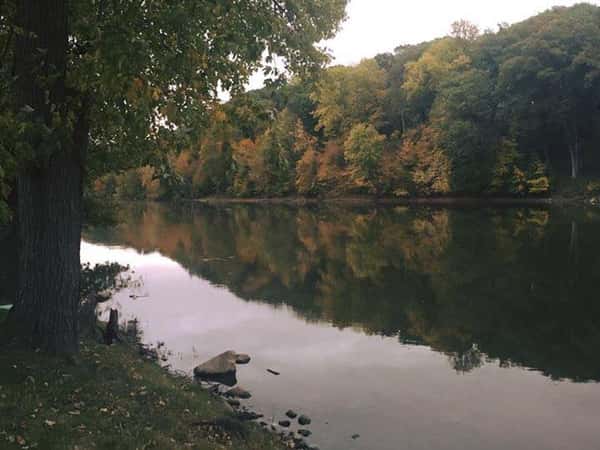 Lakeside