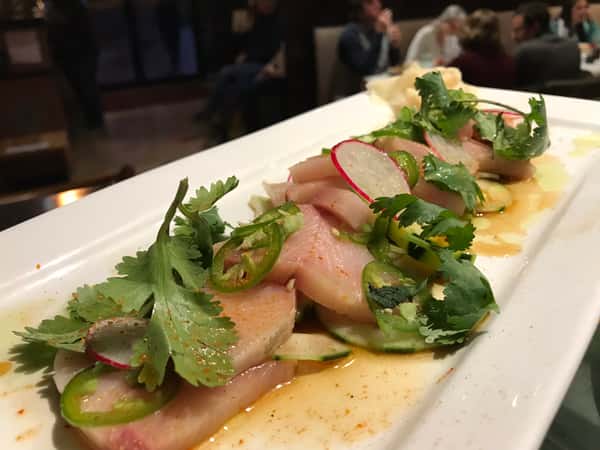 Chasing Yellowtail