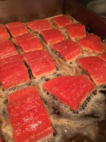 Salmon Catering