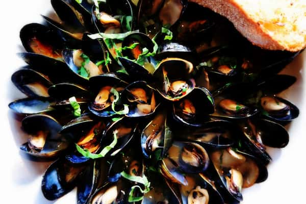Steamed Mussels