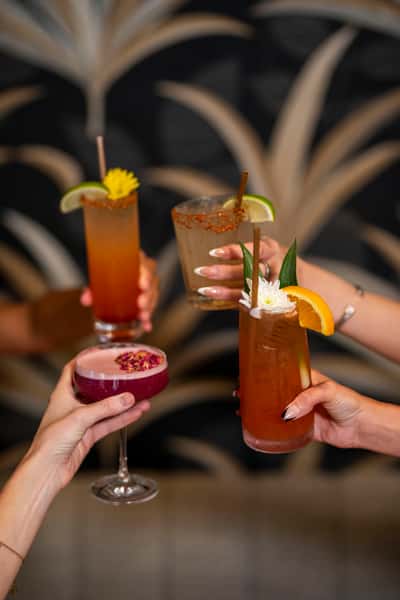 cocktails
