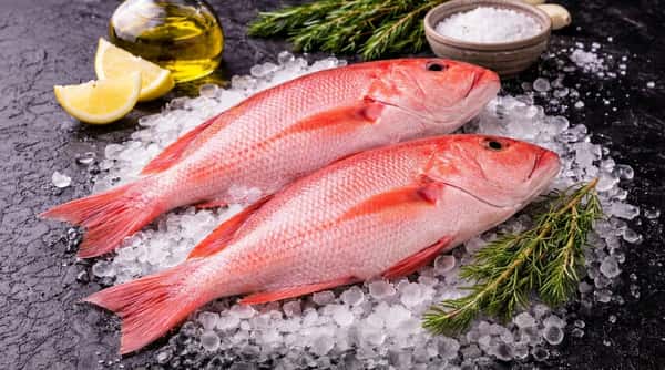 Fresh red snapper on ice from the premium seafood selection at La Carniceria Prime Meat Market
