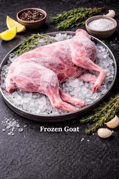 Frozen Goat
