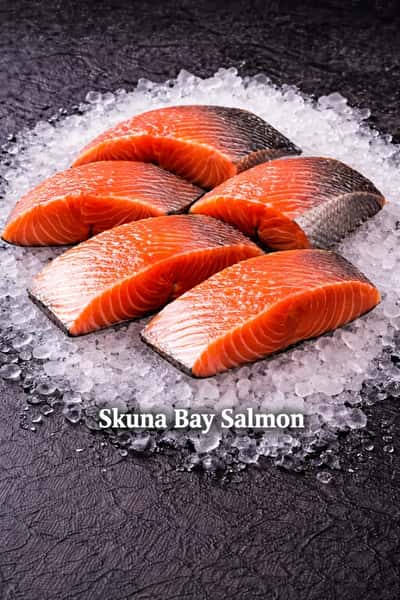 Skuna Bay Salmon